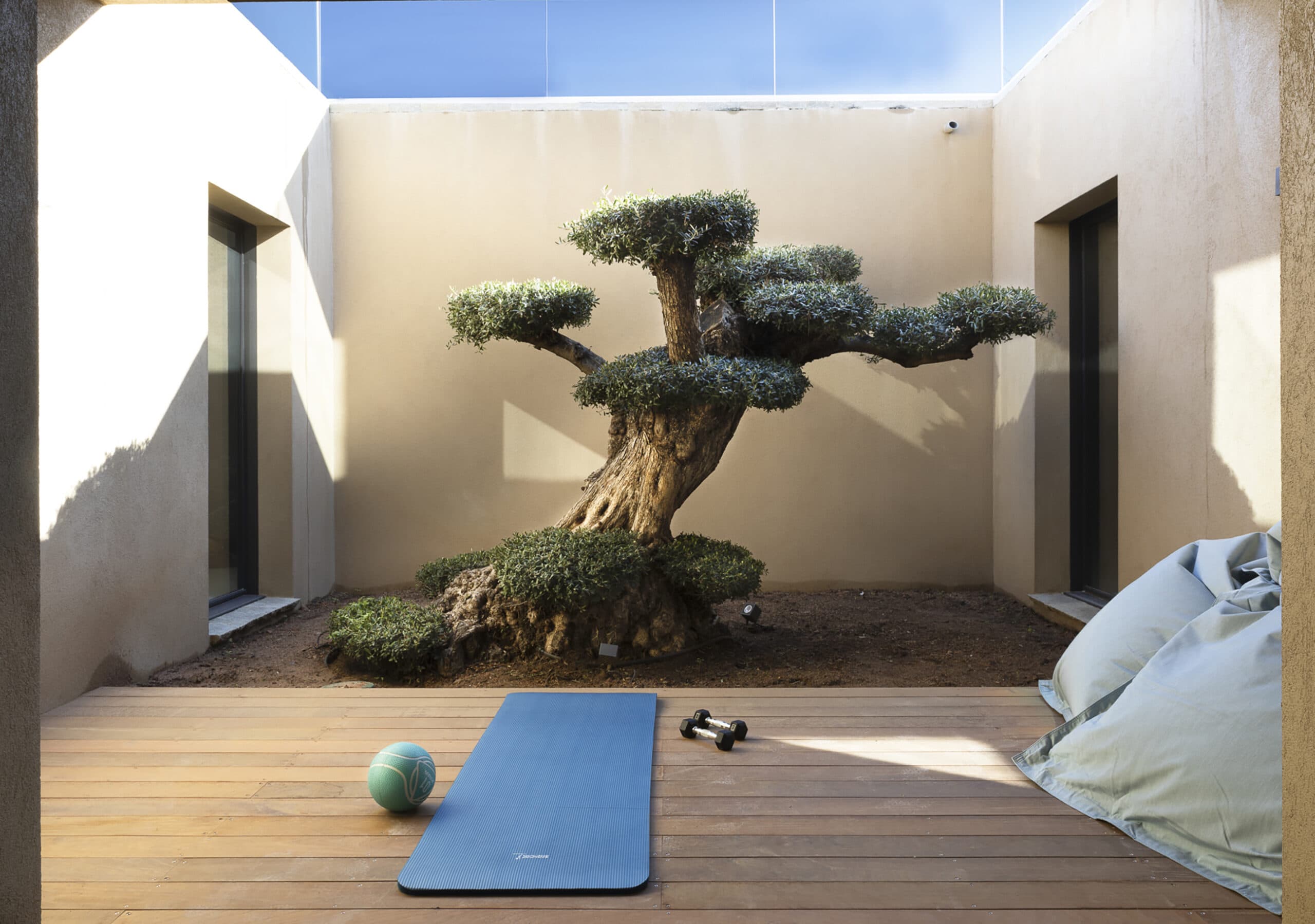 Vision & Mission Indigo Lighting