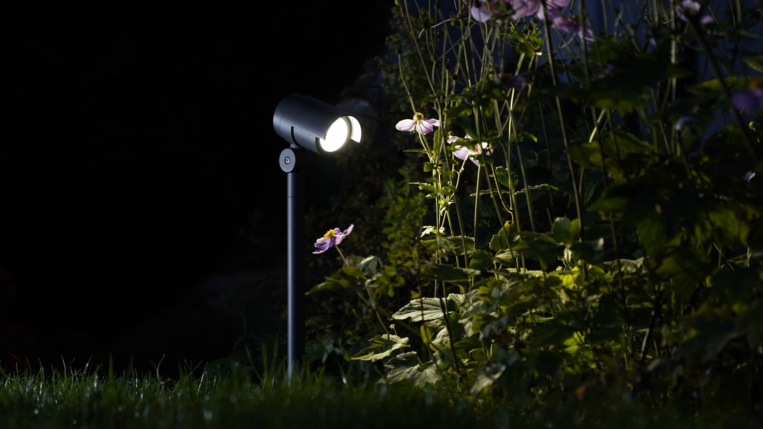 ANDY - DC_P_PHOTO_AMBIANCE_1