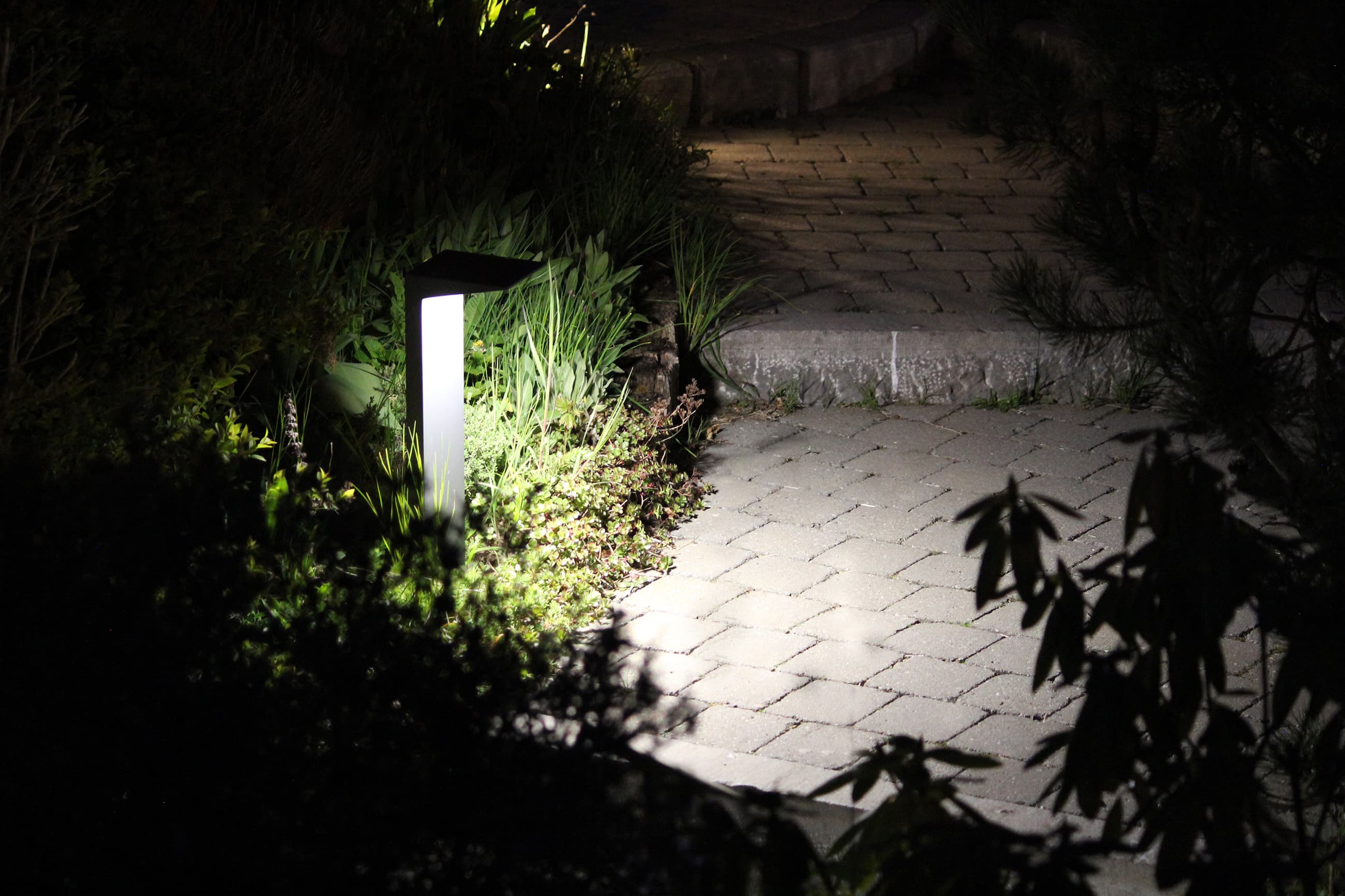 RAMA P - DC_P_PHOTO_AMBIANCE_1