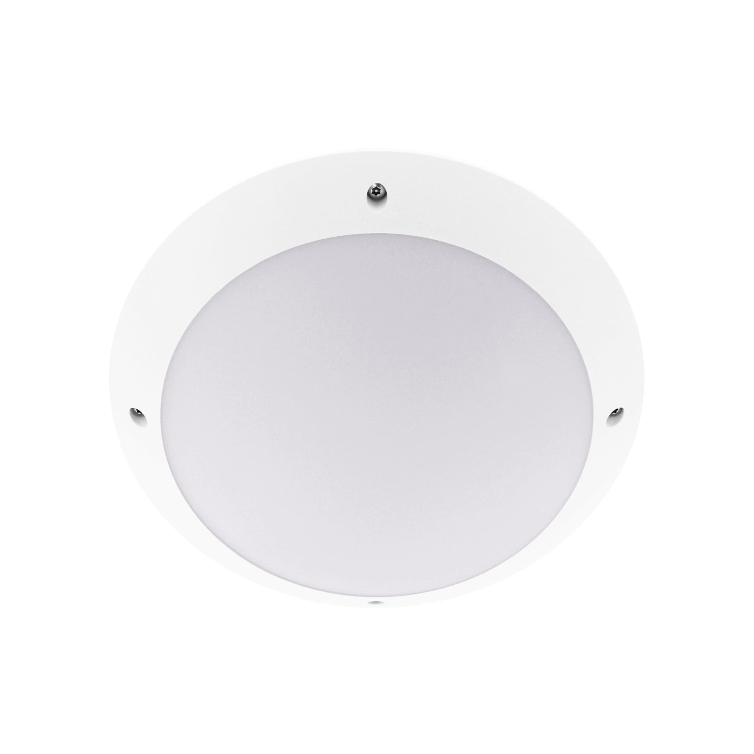 MINI TIMY SENSOR EVO