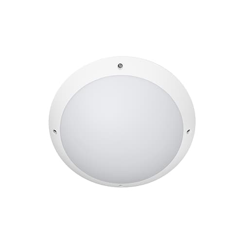 TIMY SENSOR EVO