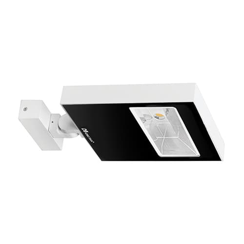 RAYPRO 50 A