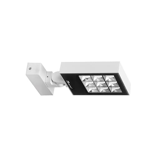 RAYPRO 32